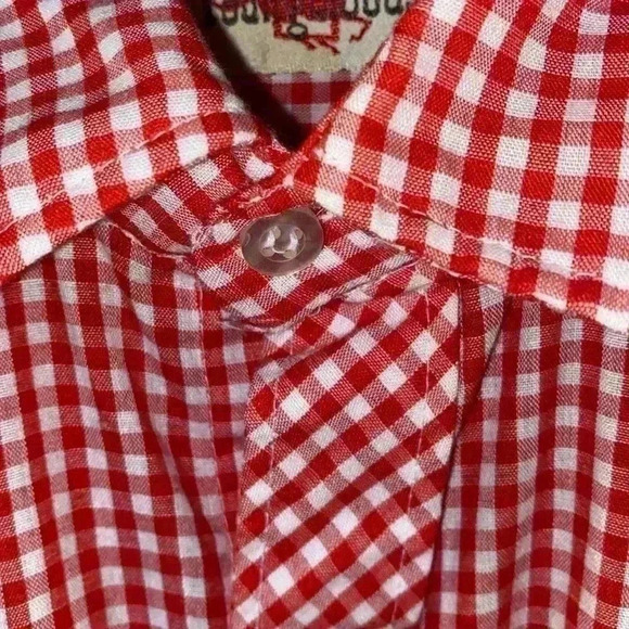 Youngbloods Authentic Western gingham pearl snap shirt - Picture 5 of 8